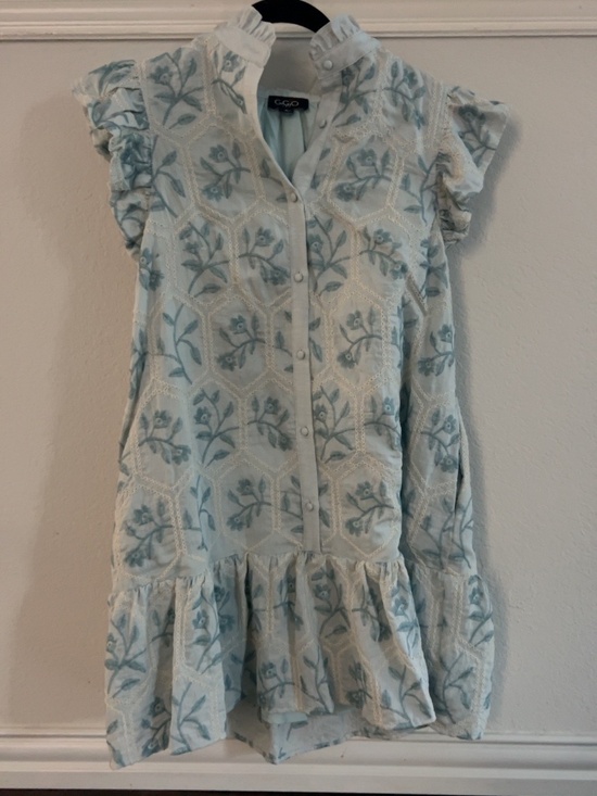 Gigio Dresses & Skirts - GIGIO Blue Floral Embroidered Ruffle Mini Dress Small